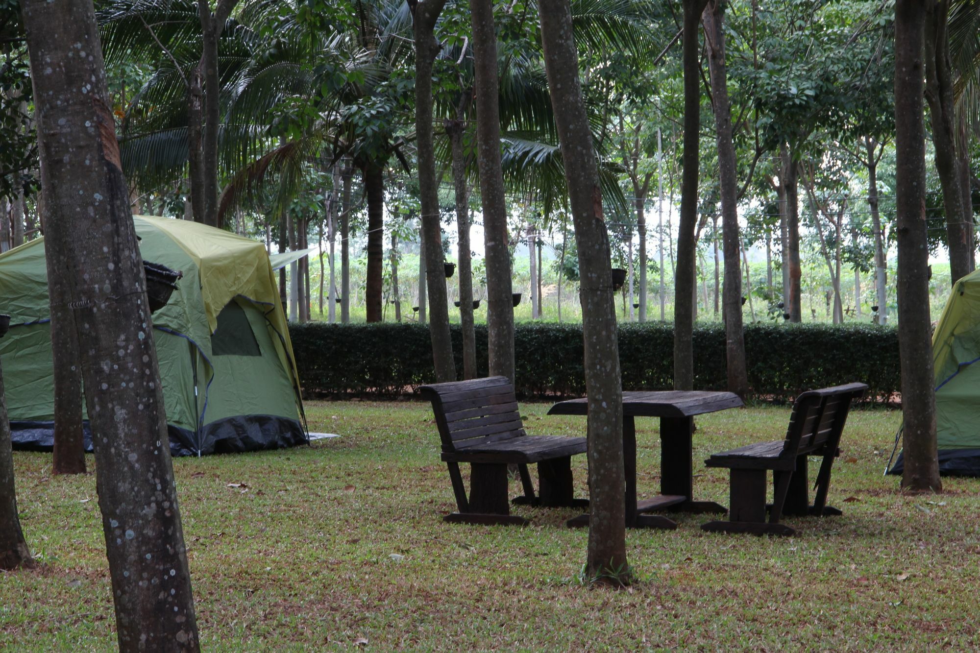 Hotel Singha Rubber Tree à Ban Huai Maenam Noi Extérieur photo